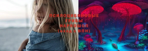 шишки Волосово