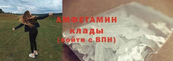 индика Верхний Тагил