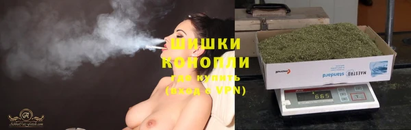 шишки Волосово
