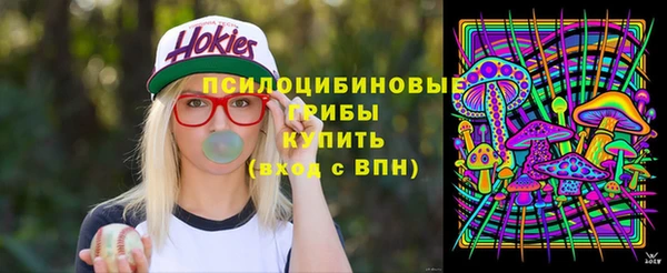 шишки Волосово