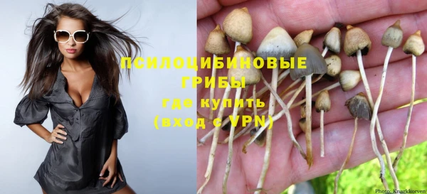 шишки Волосово