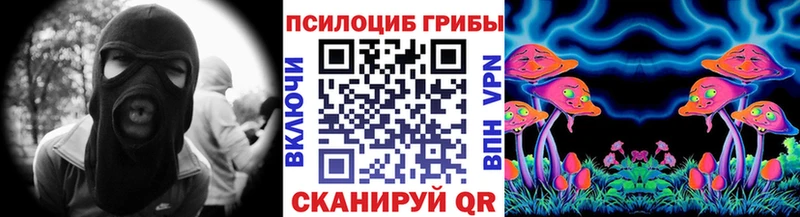 Купить  Спас-Деменск  Псилоцибиновые грибы прущие грибы 
